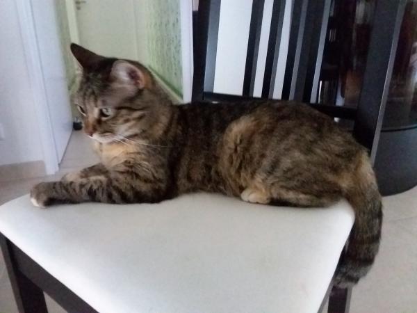 Lila