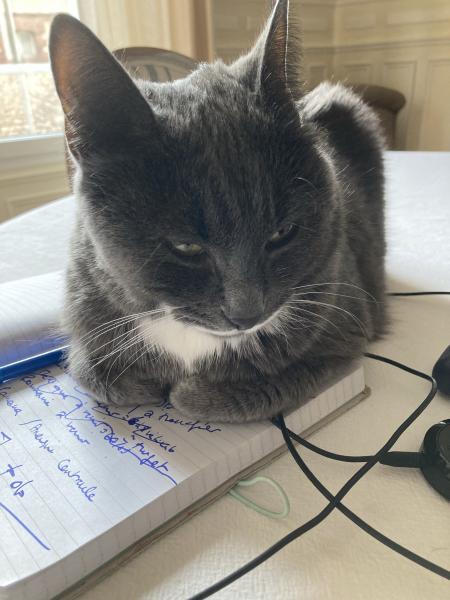 Josephine