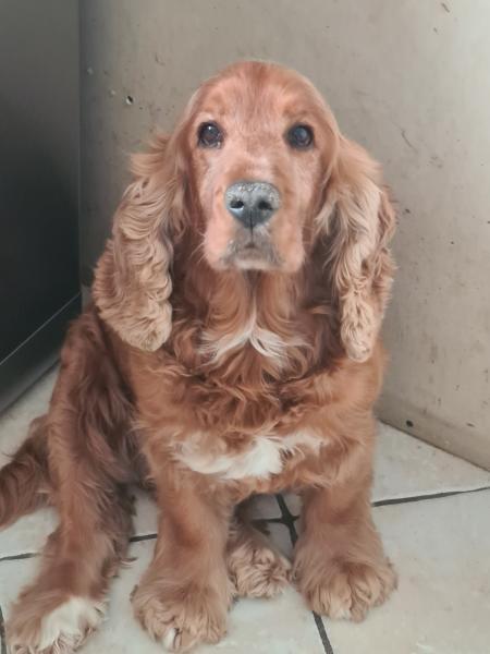 Rudy