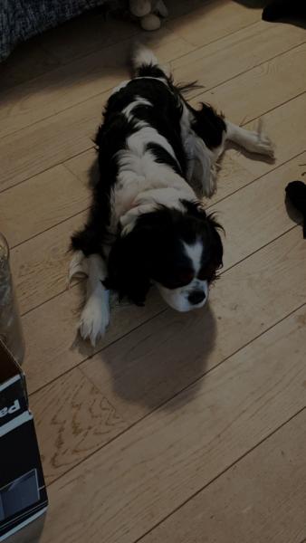 Lucky