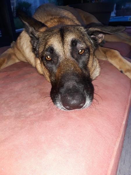 Louna