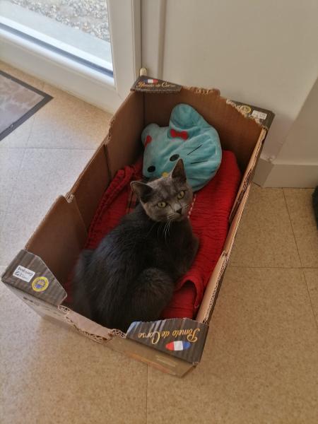 Melba