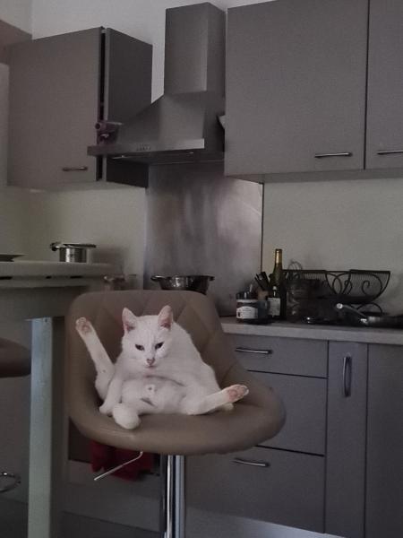 Loulou