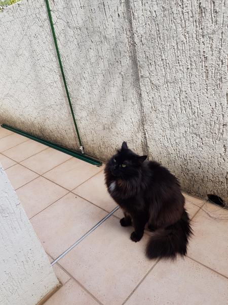 Princesse