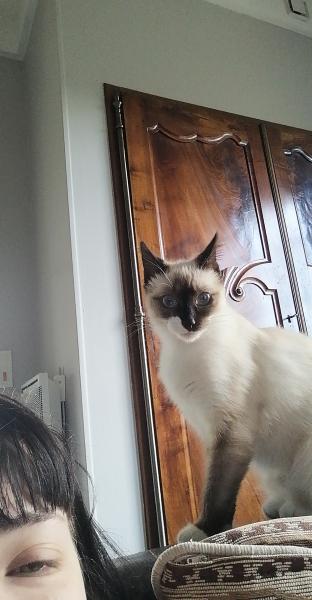 Mia