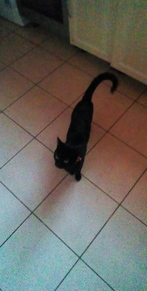 SALEM