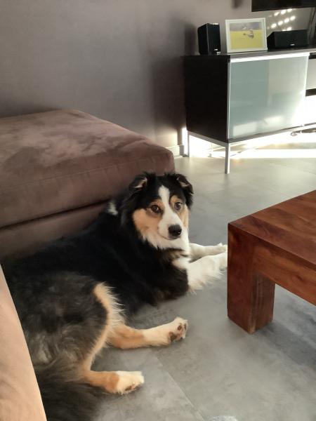 Max