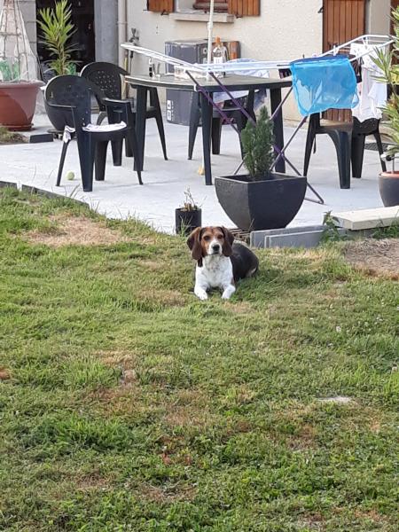 DIEGO
