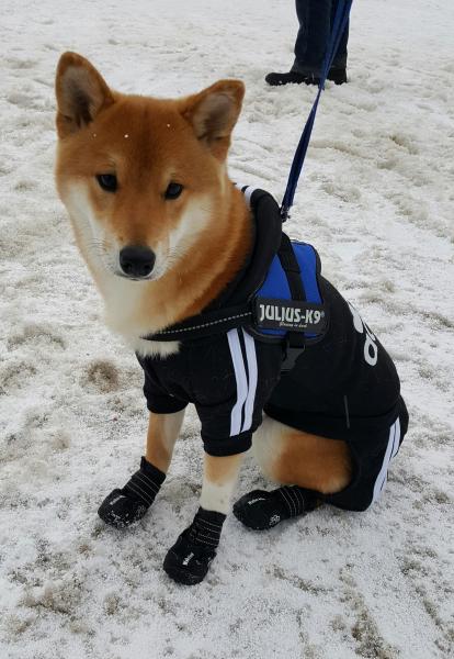 Akimbo