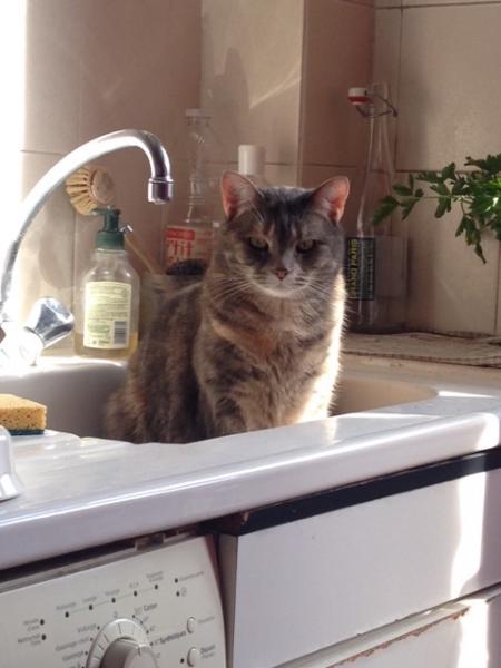Melba