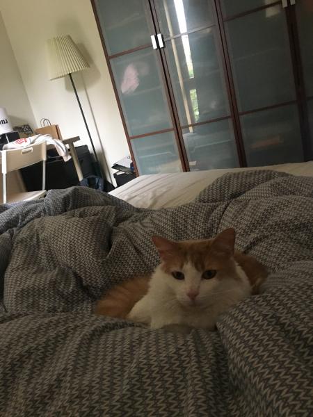 Paco
