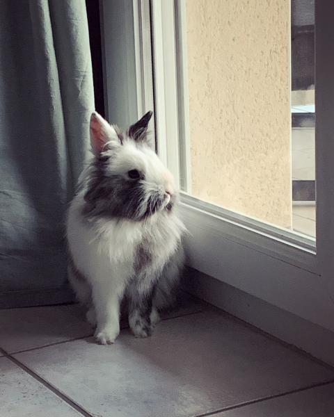 Bonnie