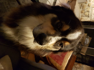 Olaf