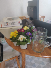 Chaussette