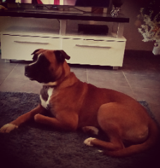 Titus