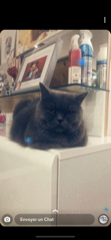 Mia