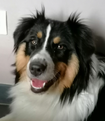 Ruby