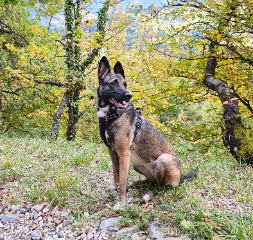 Keyla