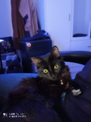 Ostara