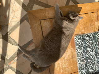 Luna
