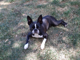 Ruby
