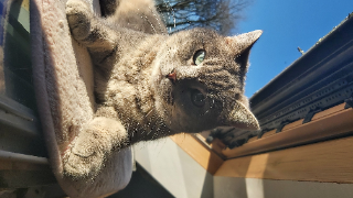Charlie