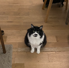 Charlie