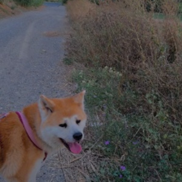 Yuki