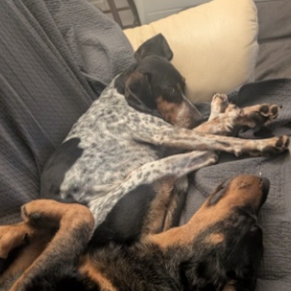 Oakley