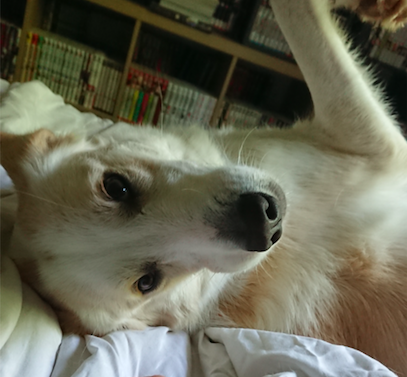 Yuki