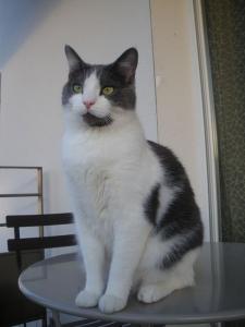 Eliot