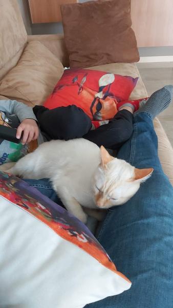Photo de Napoleone
