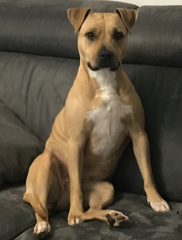 Nina