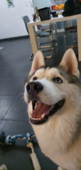 Pako