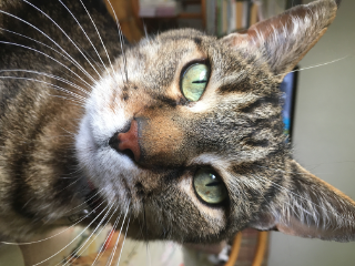 Arthur
