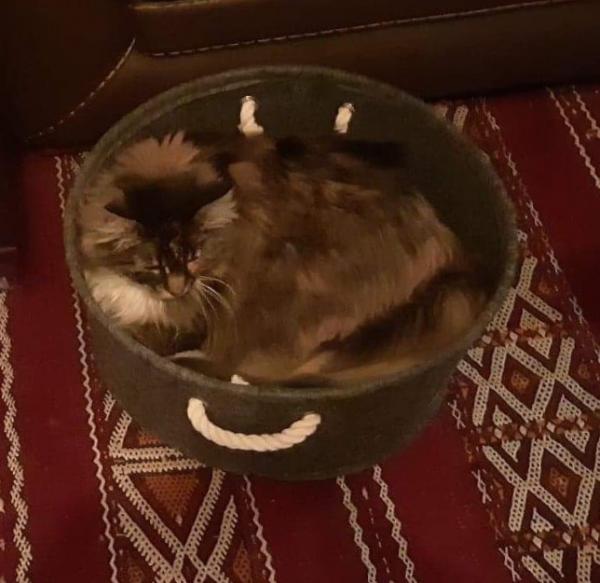 Nirvana