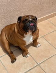 Clyde