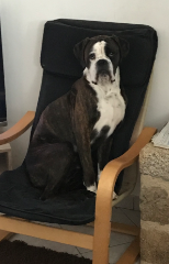 Pasco