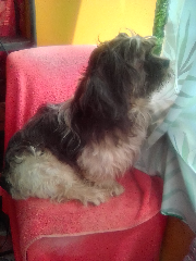 Gaby