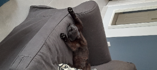 Oscar