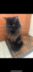 Roger