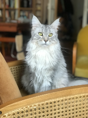 Betty