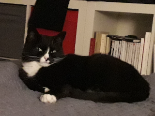 Miette