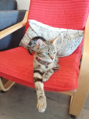 Nala