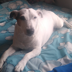 Billy