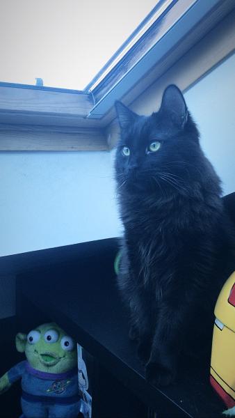 Hades