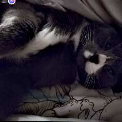 Winnie