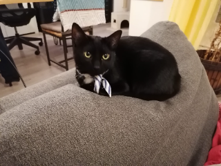 Schnaps