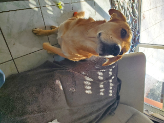 Valto