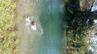 Sam